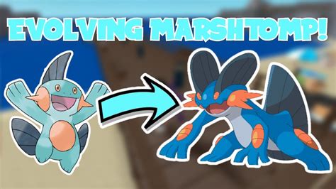 best moves for marshtomp.